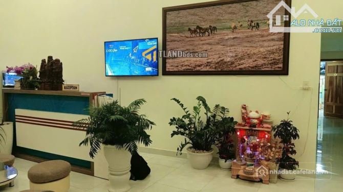 Bất động sản tại Lâm Đồng - ảnh 1