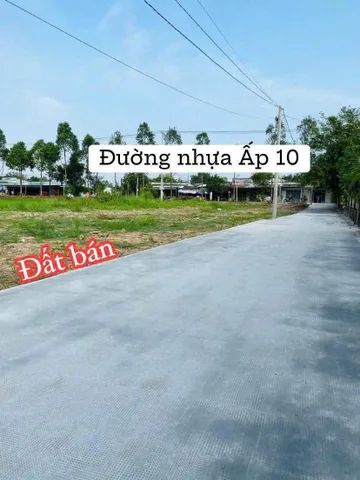 Bất động sản tại Long An - ảnh 1