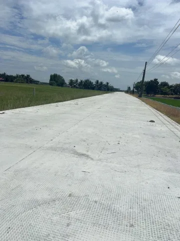 Bất động sản tại Long An - ảnh 1