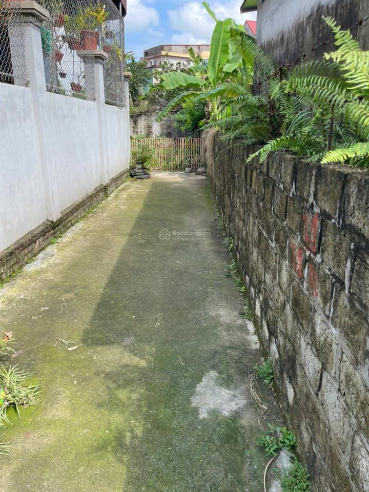 Bất động sản tại Thái Bình - ảnh 1