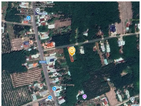 Bất động sản tại Bình Dương - ảnh 1