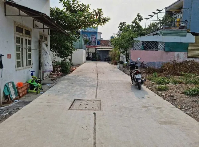 Bất động sản tại TP. Hồ Chí Minh - ảnh 1