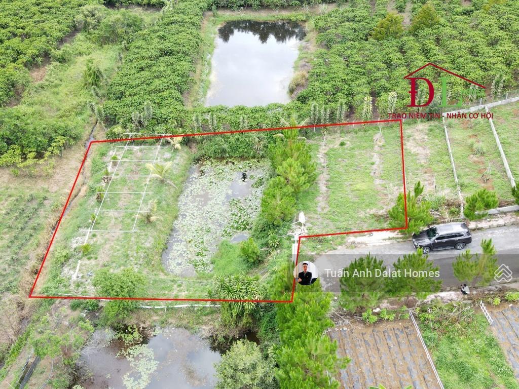 Bất động sản tại Lâm Đồng - ảnh 1