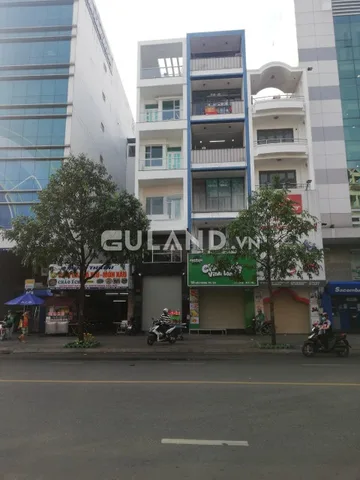 Bất động sản tại TP. Hồ Chí Minh - ảnh 1