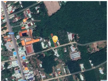 Bất động sản tại Bình Dương - ảnh 1