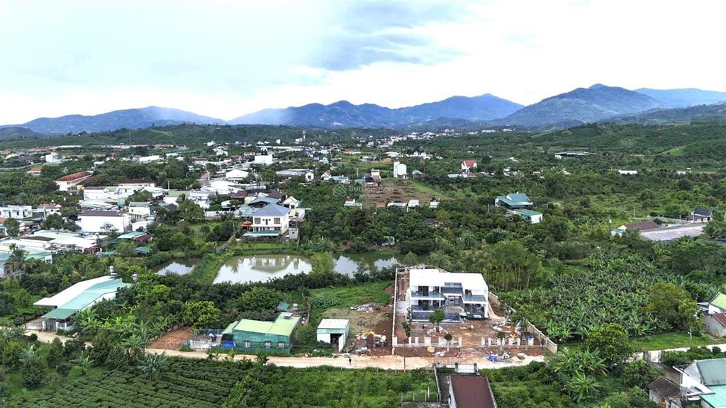 Bất động sản tại Lâm Đồng - ảnh 1