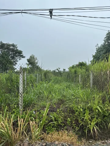 Bất động sản tại Long An - ảnh 1