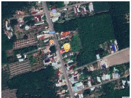 Bất động sản tại Bình Dương - ảnh 1