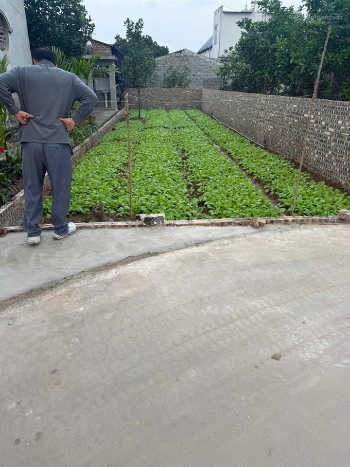 Bất động sản tại Hưng Yên - ảnh 1