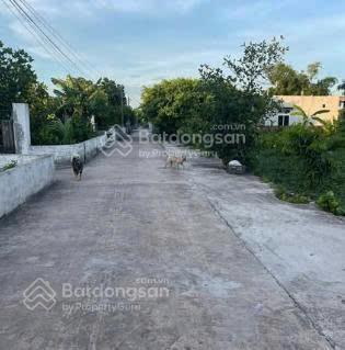 Bất động sản tại Thái Bình - ảnh 1
