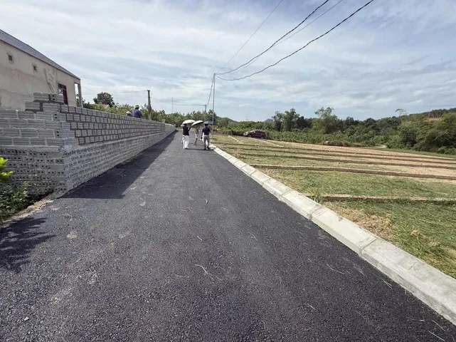 Bất động sản tại Phú Thọ - ảnh 1