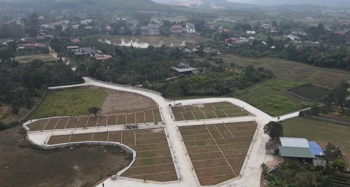 Bất động sản tại Phú Thọ - ảnh 1