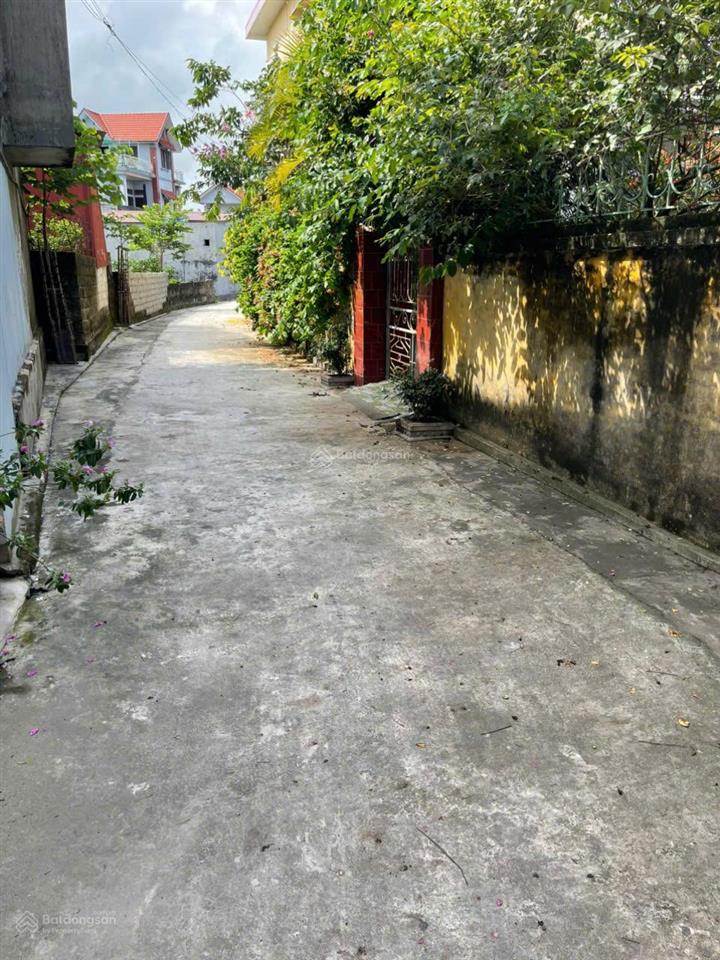 Bất động sản tại Thái Bình - ảnh 1