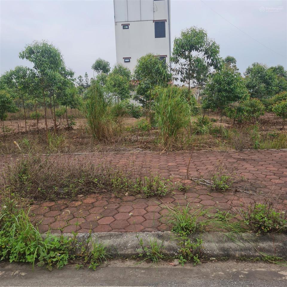 Bất động sản tại Bắc Giang - ảnh 1
