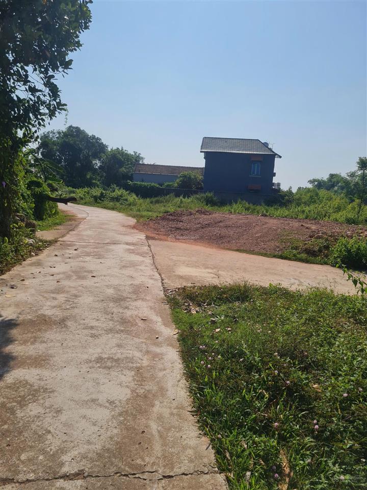 Bất động sản tại Bắc Giang - ảnh 1