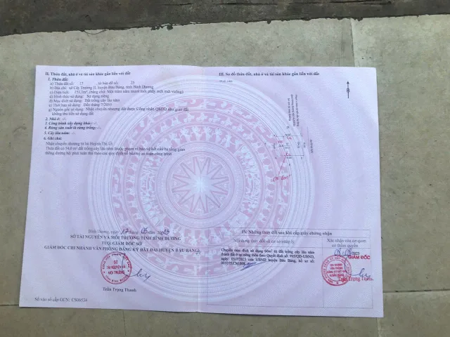 Bất động sản tại Bình Dương - ảnh 1