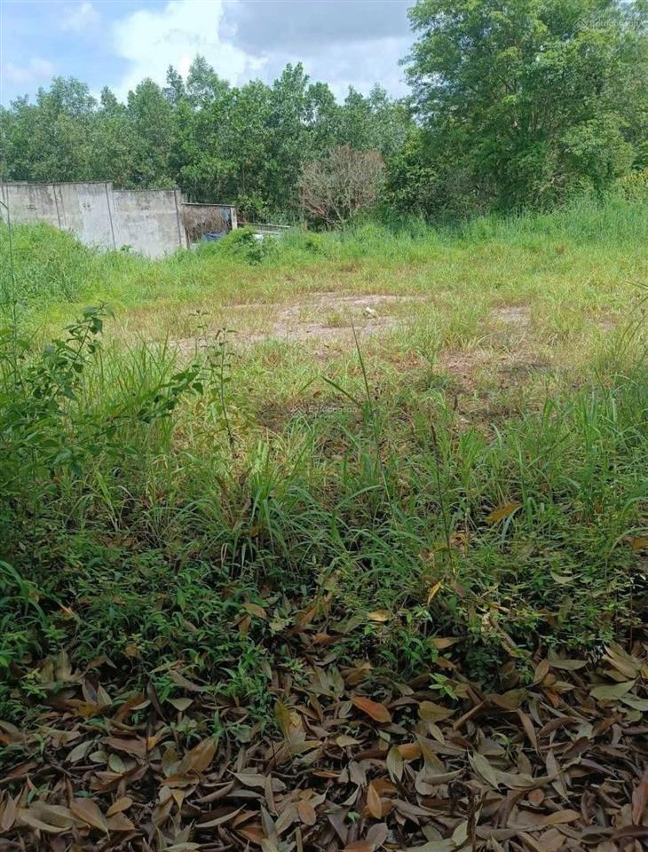 Bất động sản tại Tây Ninh - ảnh 1