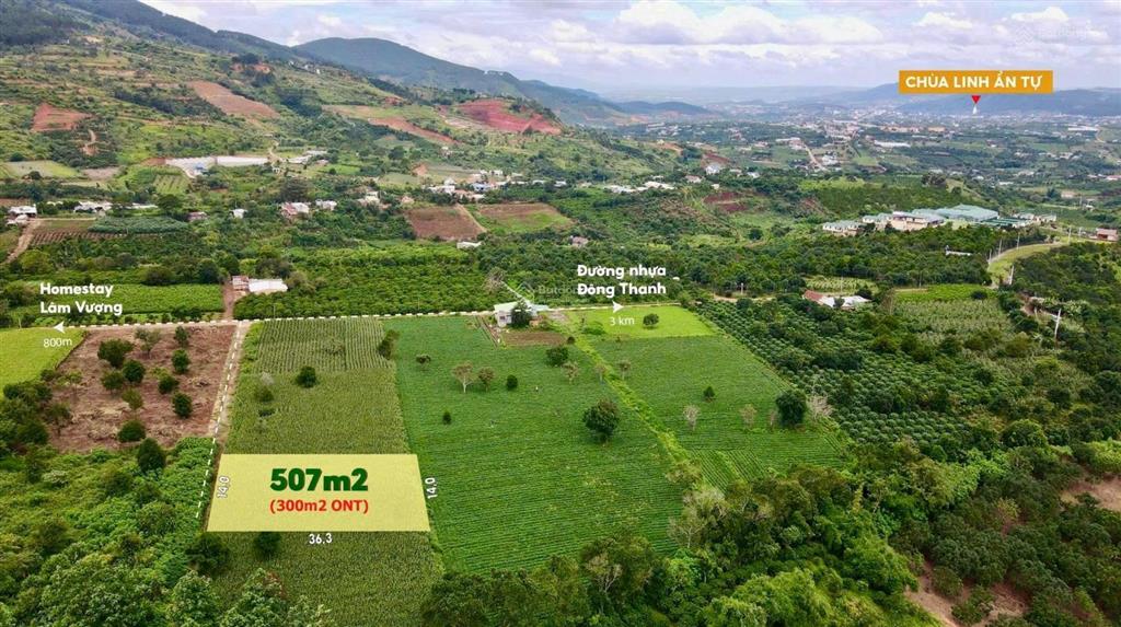 Bất động sản tại Lâm Đồng - ảnh 1