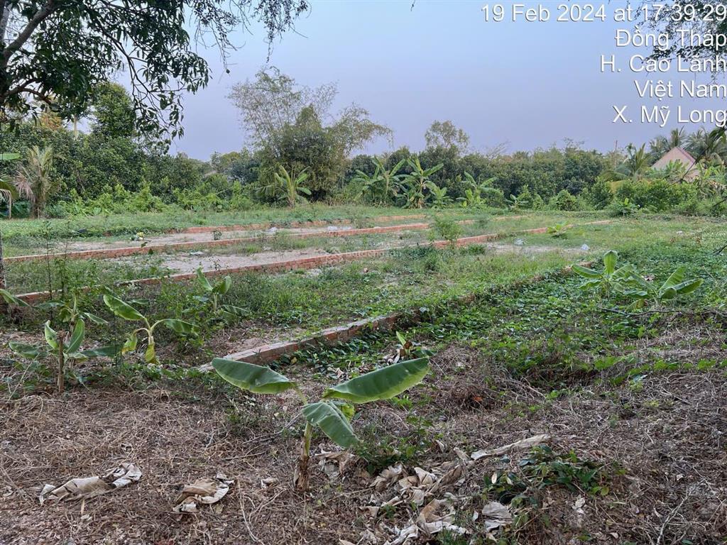 Bất động sản tại Đồng Tháp - ảnh 1