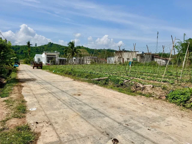 Bất động sản tại Đắk Lắk - ảnh 1