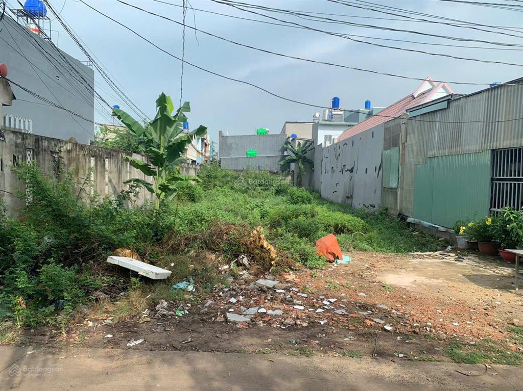 Bất động sản tại Long An - ảnh 1