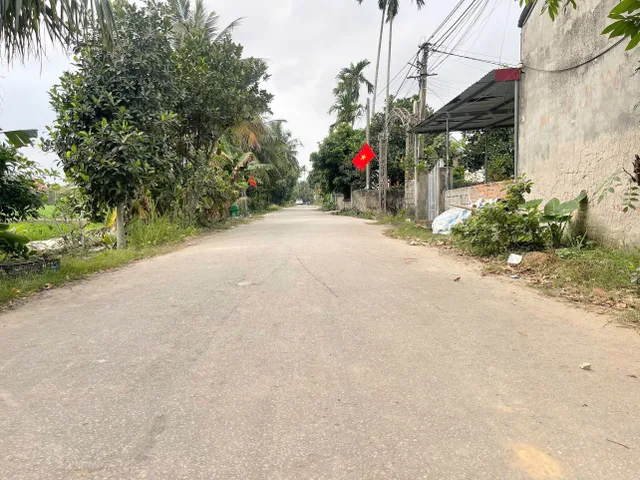 Bất động sản tại Hải Phòng - ảnh 1