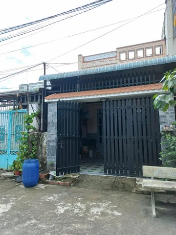 Bất động sản tại Long An - ảnh 1