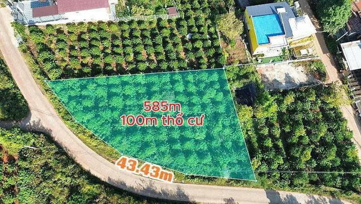 Bất động sản tại Lâm Đồng - ảnh 1