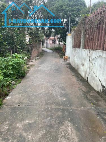 Bất động sản tại Hưng Yên - ảnh 1