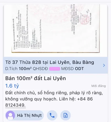 Bất động sản tại Bình Dương - ảnh 1
