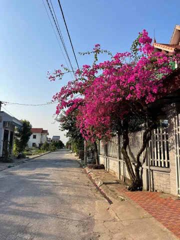 Bất động sản tại Hải Phòng - ảnh 1