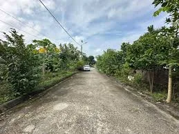 Bất động sản tại Cần Thơ - ảnh 1