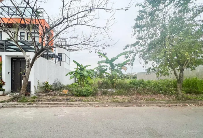 Bất động sản tại Bình Dương - ảnh 1