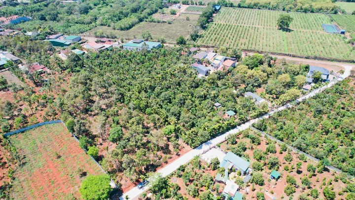 Bất động sản tại Đắk Lắk - ảnh 1