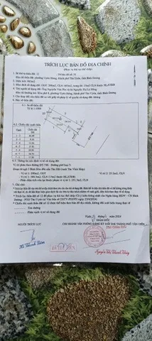 Bất động sản tại Bình Dương - ảnh 1