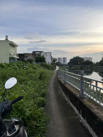 Bất động sản tại TP. Hồ Chí Minh - ảnh 1