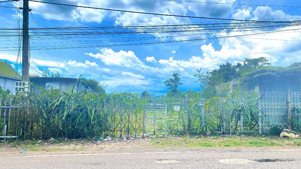 Bất động sản tại Lâm Đồng - ảnh 1