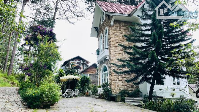 Bất động sản tại Lâm Đồng - ảnh 1