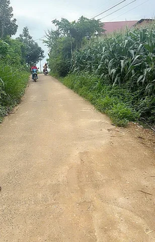 Bất động sản tại Đắk Lắk - ảnh 1
