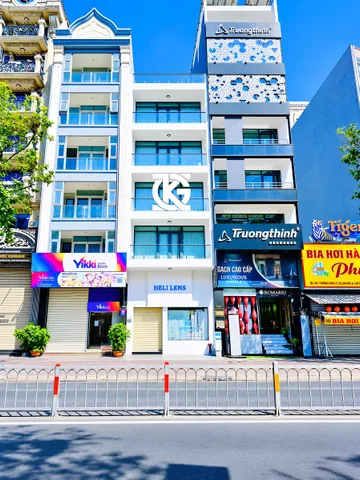 Bất động sản tại TP. Hồ Chí Minh - ảnh 1