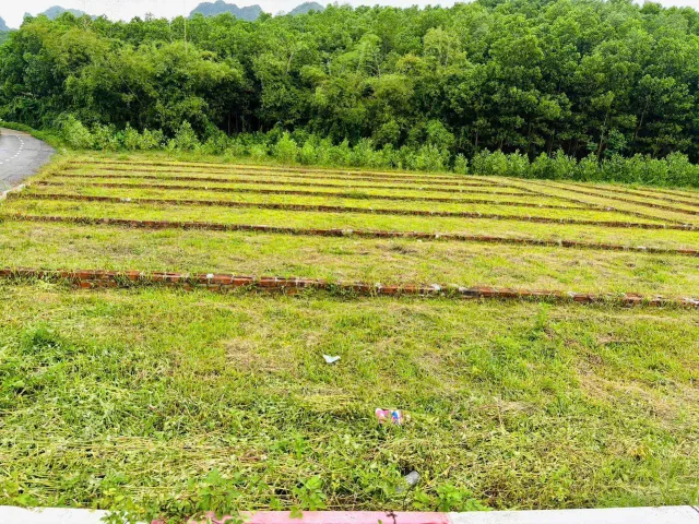 Bất động sản tại Phú Thọ - ảnh 1