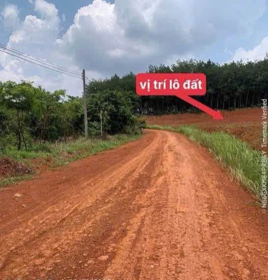 Bất động sản tại Bình Phước - ảnh 1