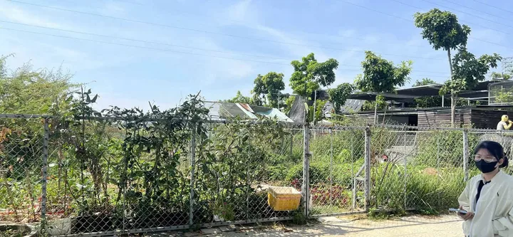 Bất động sản tại Đà Nẵng - ảnh 1