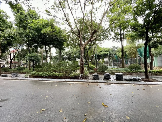 Bất động sản tại Hà Nội - ảnh 1