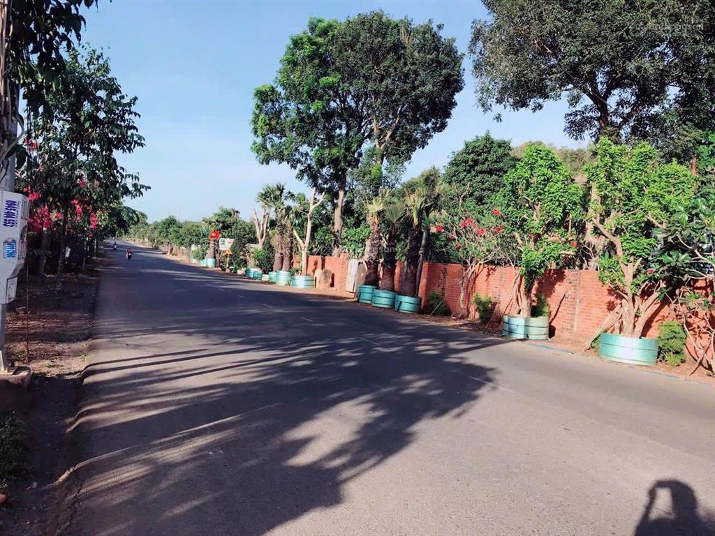 Bất động sản tại Bà Rịa - Vũng Tàu - ảnh 1