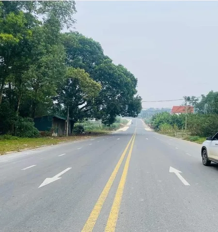 Bất động sản tại Phú Thọ - ảnh 1