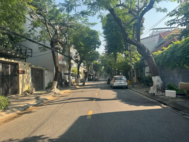 Bất động sản tại Đà Nẵng - ảnh 1