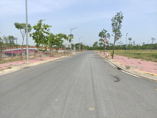 Bất động sản tại Long An - ảnh 1