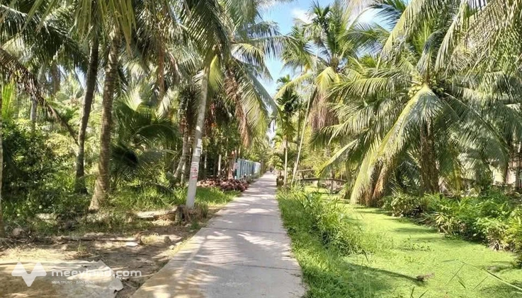 Bất động sản tại Bến Tre - ảnh 1