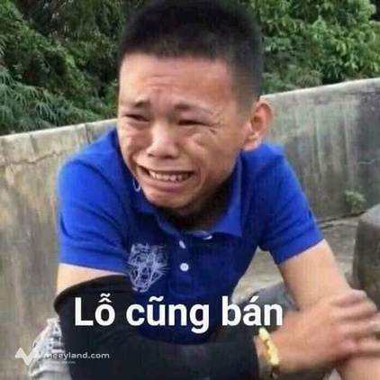 Bất động sản tại Bình Thuận - ảnh 1